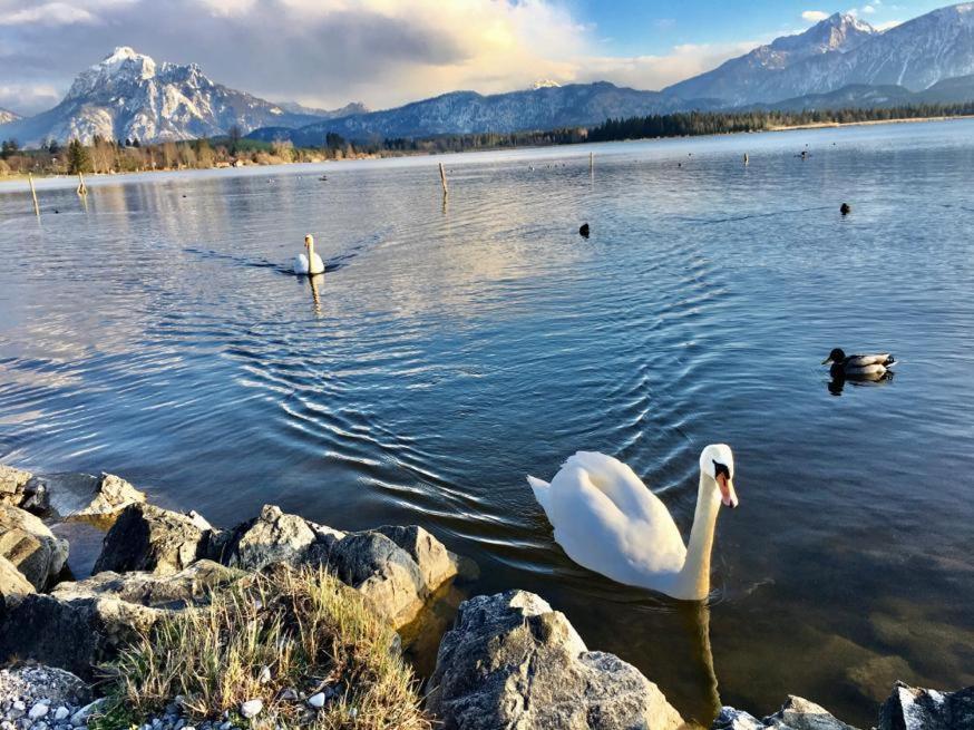 Hotel Fischer Am See Füssen Εξωτερικό φωτογραφία